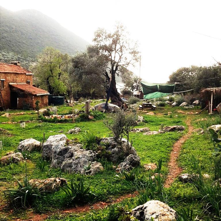 Hiker'S Inn-Purple House Kaleucagız Exterior foto